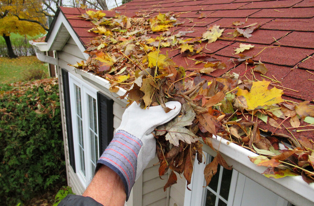 gutter