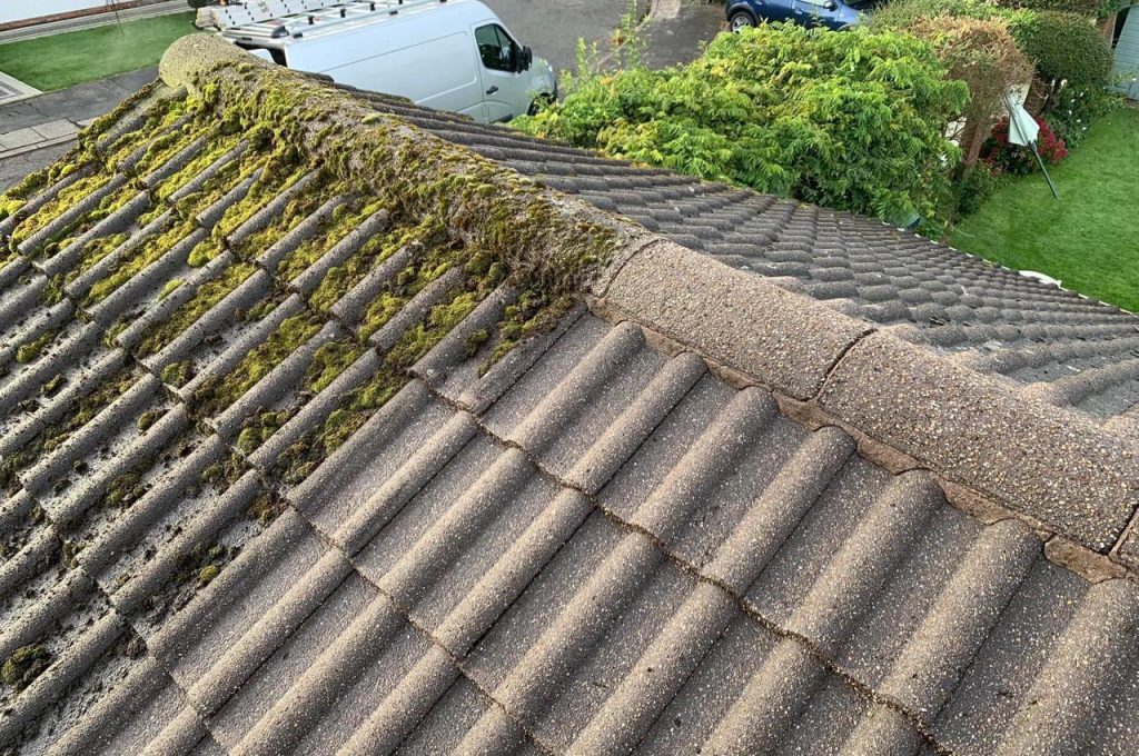 whatsapp image 2025 07 12 at 01.17.50 d6aba797